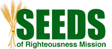 Seeds Logo Refined